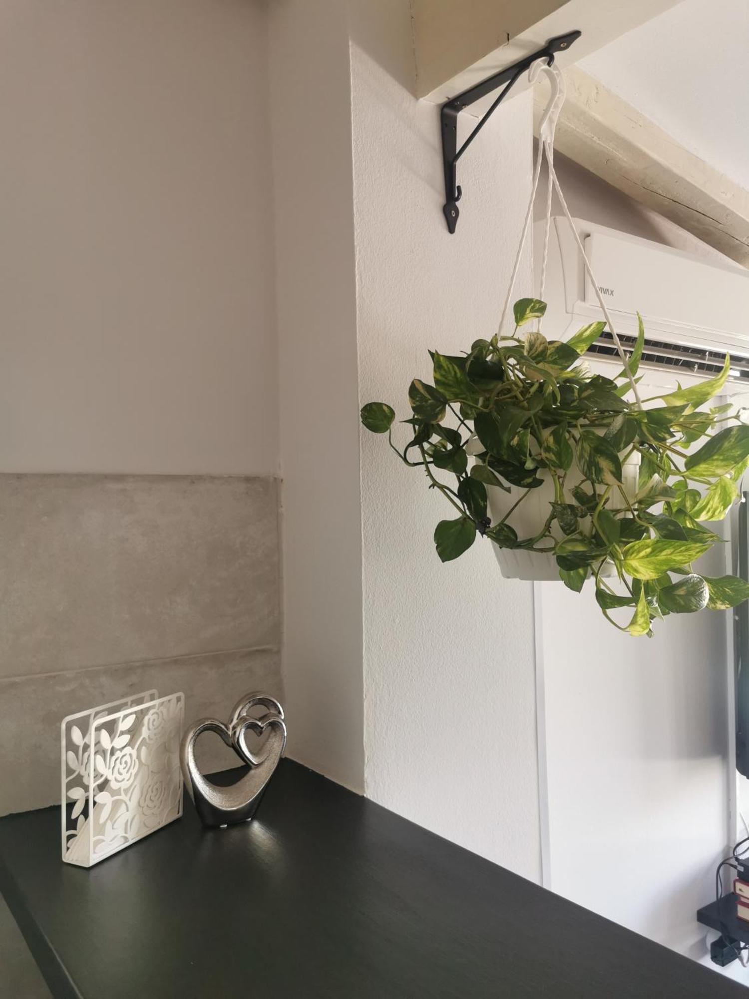 Apartment Katy بولا المظهر الخارجي الصورة